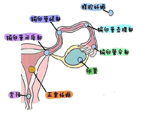 無(wú)標(biāo)題.jpg